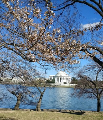 springtimeindc